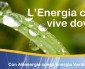 ABENERGIE: TURNOVER 2012 OVER 53 MILLION EURO (+50%)